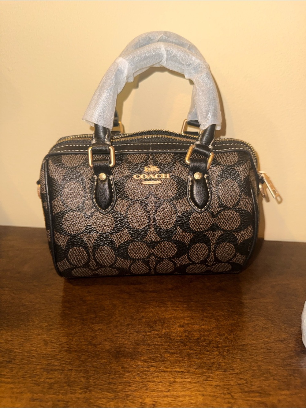 Mini Rowan Crossbody in Brown and Black Signature Print